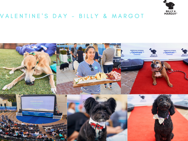 Screen Shot 2020-02-18 at 3.36.56 pm